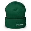 cuffed-beanie-spruce-front-66f6de085f67f.jpg